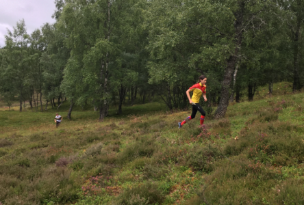 Isla orienteering at Lagganlia