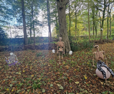 Three skeletons work out in the woods.