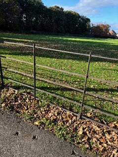 Photo of the Acklam Hall boundary fence