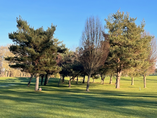 Bedale golf course in sunlight