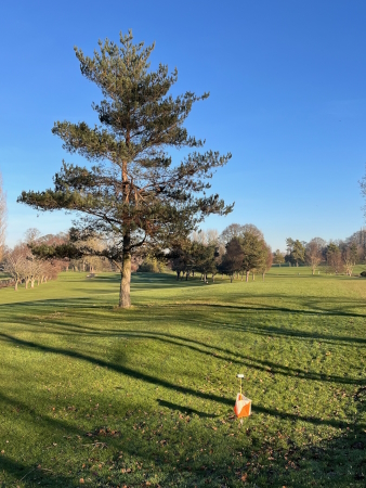 Bedale golf cours in sunlight