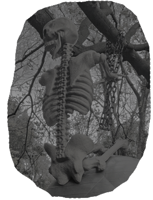 Skeleton